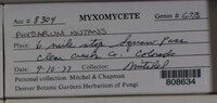 Image Associated With the Occurence